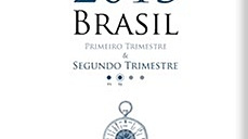 Brasil - Primero y Segundo Trimestre 2013